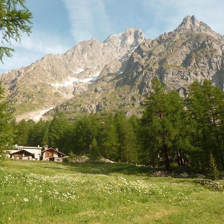 Chalet Berlot Villa Courmayeur Esterno foto